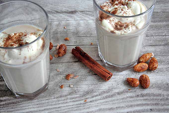 Make Roasted Almond Milk at Home | Foodal.com