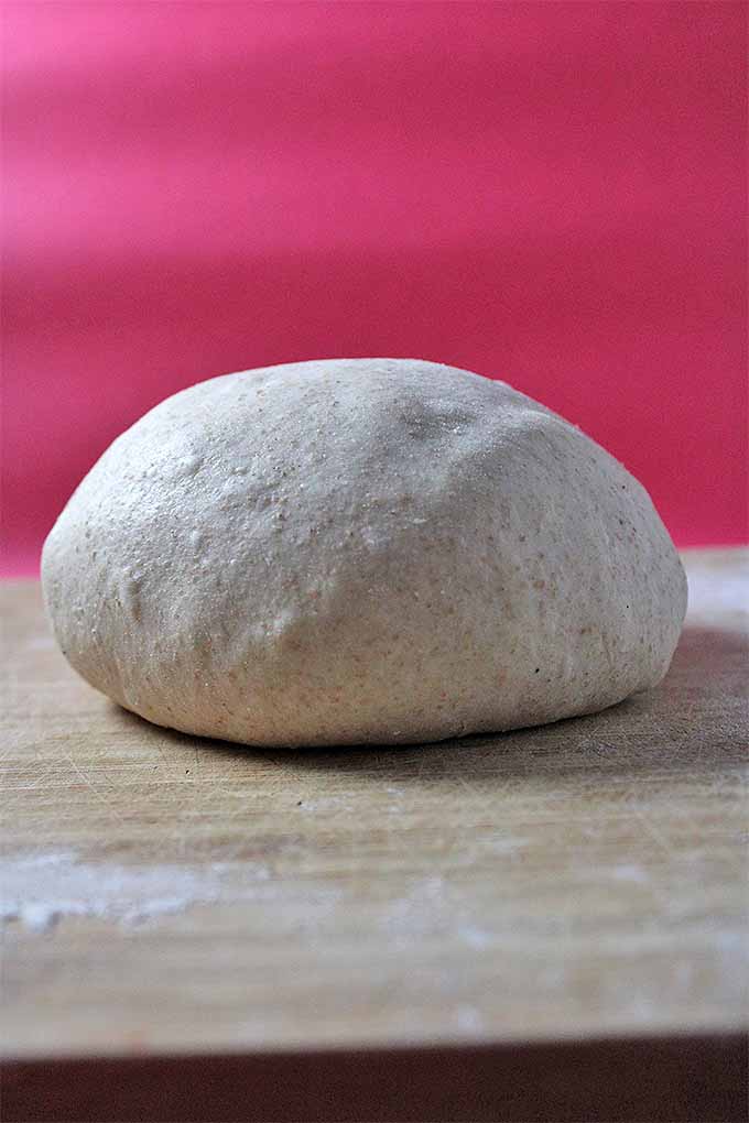 Vertical image of a ball of sourdough bread dough on a floured wooden board, with a bright red background.