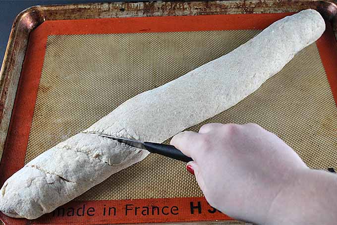 Make the Best Baguettes at Home | Foodal.com
