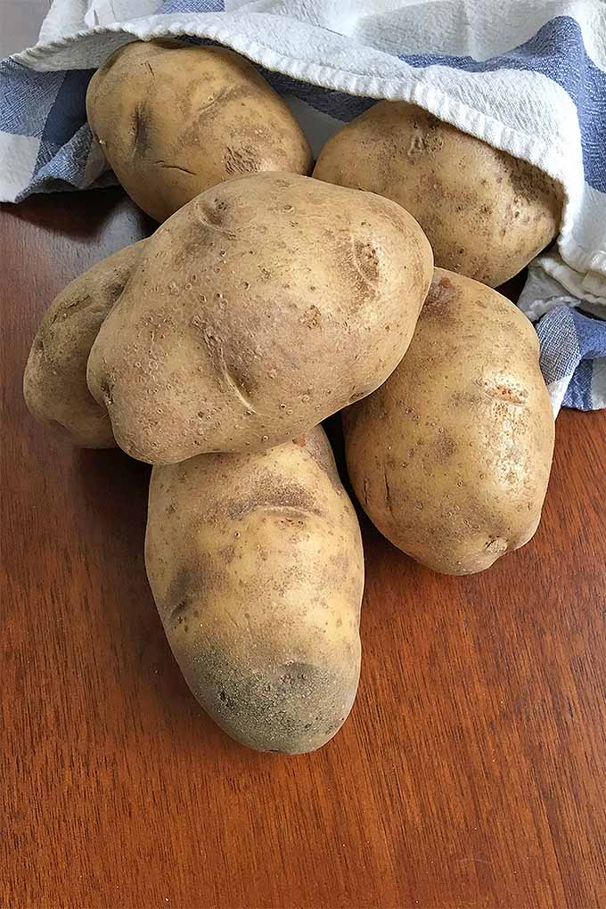 Bag of russet potatoes.