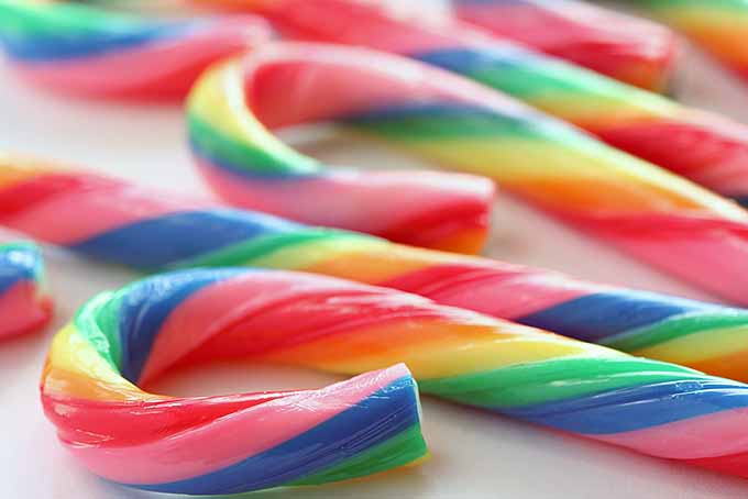 Rainbow-Colored Candy Canes | Foodal.com