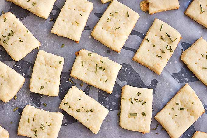 Top down view of Parmesan and rosemary crackers on waxed paper sitting on a baking pan.