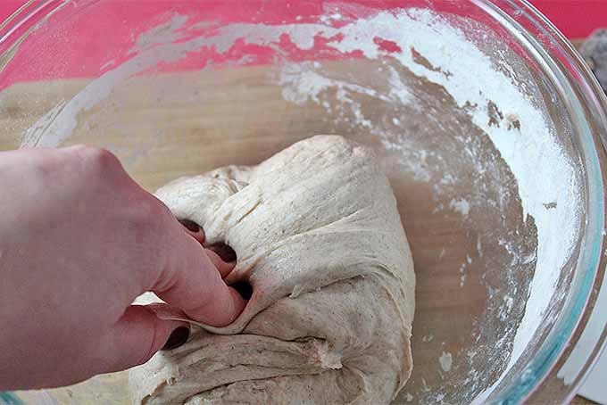 A hand with brown painted nails folds dough in the bottom of a floured glass mixing bowl, on a wooden countertop with a red background.