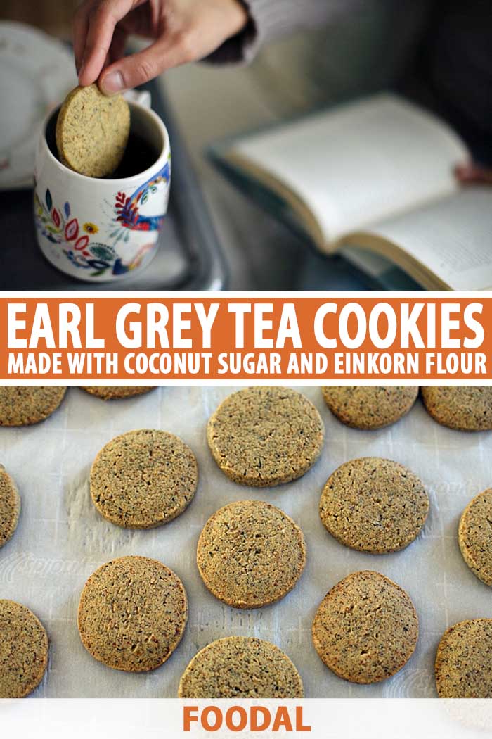 A collage of photos showing different views of Einkorn Earl Grey Tea Cookies.