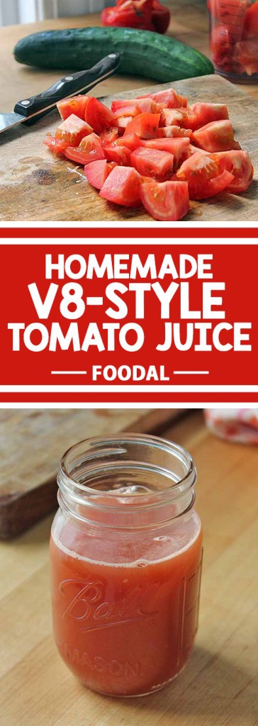 Are you looking for a zesty beverage to whip up in your juicer? How about making Homemade V8-Style Tomato Juice? Packed full of tomatoes and sweet bell peppers, the added zing comes from savory herbs. Enjoy a refreshing glass in the morning, or as an appetizer before dinner. Get the recipe now.