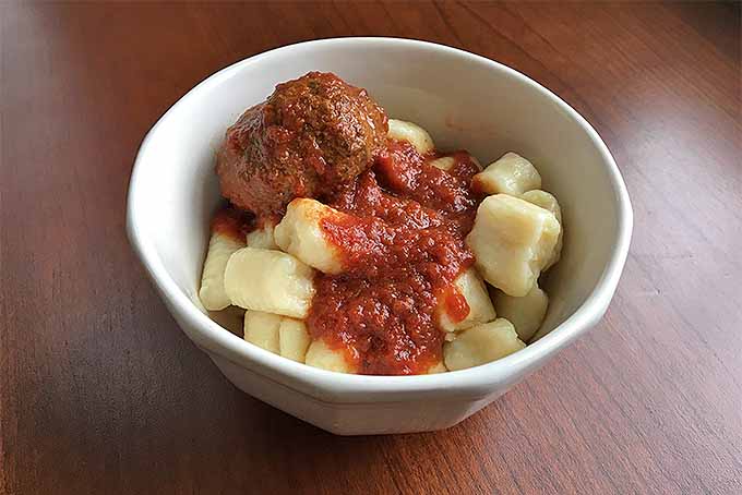 A bowl of tasty potato gnocchi dumplings with marina sauce and meatballs | Foodal.com