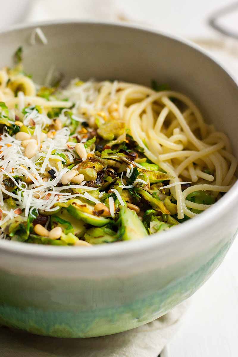 Close up oblique view of a bowl full of pasta noodles with shaved Brussels sprouts, pine nuts, and leeks. Diffused, selective focus on a small part of the dish.