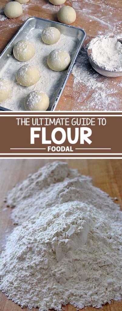 So many different kinds of flour are available, and it can be confusing to know which one to choose. Foodal’s Guide to Flour will help you sift through all of your options, and determine which types will add the best flavor and texture to your baked goods. Read more now on Foodal, and get baking today.