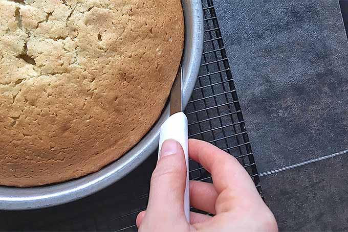 Baked vanilla butter cake releasing from the pan with a little help from a paring knife | Foodal.com