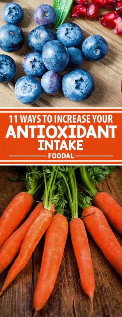 A busy, modern lifestyle can leave no time for proper nutrition. And this may have an adverse effect on our health, energy, and the ability of our bodies to prevent disease. But a healthy diet doesn’t necessarily mean hours spent in the kitchen. Check out our easy tips to get a dose of dietary antioxidants every day, for vibrant health and vitality!
