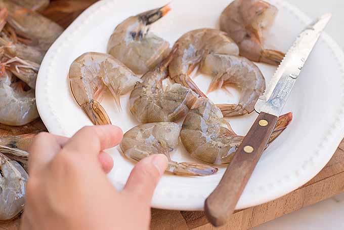 Getting ready to shell and devein shrimp | Foodal.com