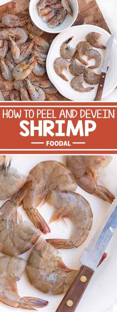 Have you ever wondered how chefs prep those perfectly cleaned shrimp for your cocktail? It's called deveining, and it involves careful peeling and removal of the guts. To perfect your technique, read more now on Foodal.