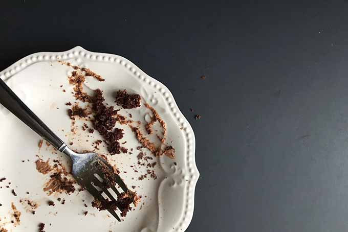 A plate with a few leftover crumbs from an irresistible chocolate cake | Foodal.com