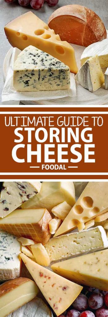 Stocked up on fancy cheese and you want to make sure it stays tasty until the last bite? Not sure what the part of your fridge labeled “Cheese Drawer” is for? Never fear – Foodal has your comprehensive guide to wrapping and storing fine cheeses in your home refrigerator so they stay fresh until they’re gone!