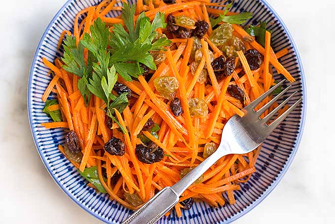 Dig into a bowl of julienned carrot salad with raisins, garlic lemon aioli, and fresh parsley with our recipe. | Foodal.com