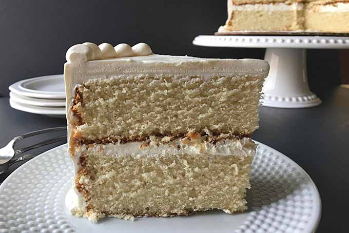 Slice of two-layered very vanilla cake | Foodal.com