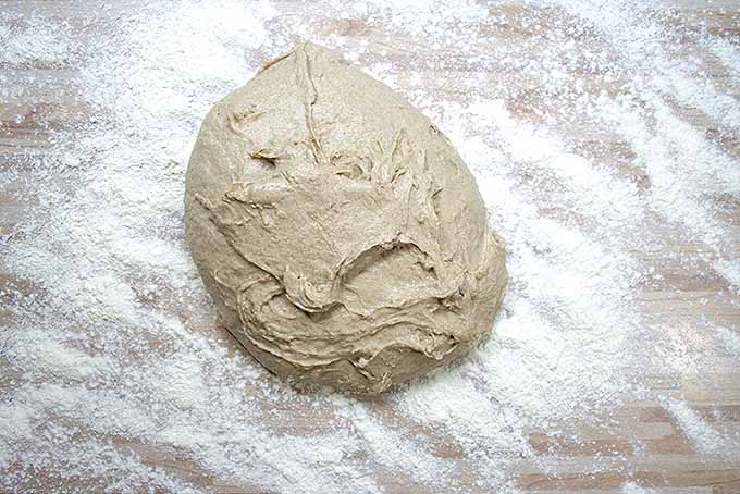 German rye bread dough, ready for the rising process to create the best taste and texture. | Foodal.com