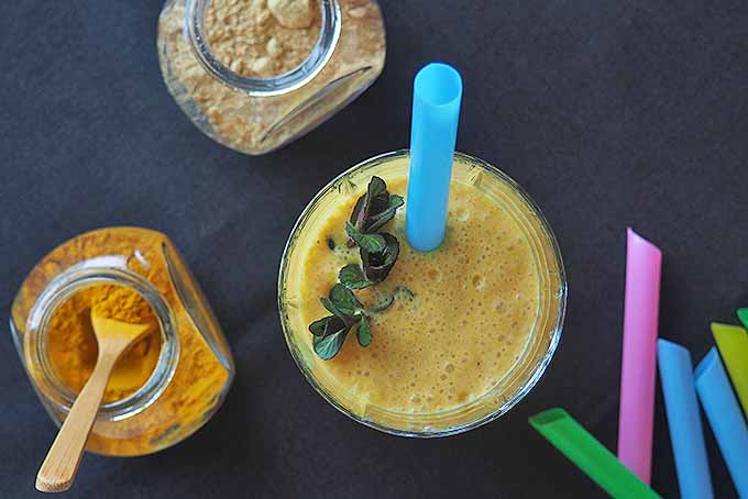 This pineapple coconut smoothie is dairy-free, nut-free, and totally delicious! | Foodal.com