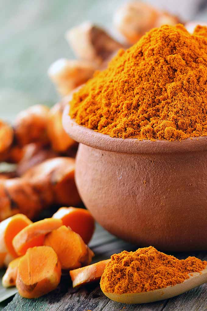 Love spices? Try turmeric! It's antioxidant power and amazing flavor make it a perfect super spice to add to your dishes. Learn more now: https://foodal.com/knowledge/herbs-spices/turmeric-super-spice/