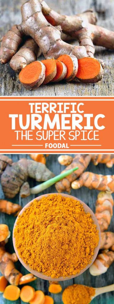 We know that herbs and spices contain some of the highest levels of antioxidants that promote good health. And turmeric is right up there with the best, thanks to its active ingredient, curcumin. Find out how you can easily add more of this super spice to your diet – read more now on Foodal.