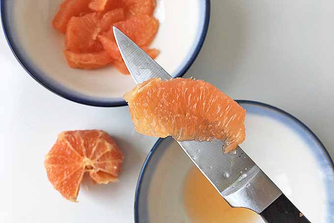 A perfect grapefruit supreme! | Foodal.com