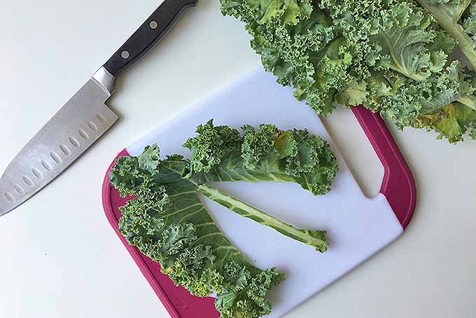 Chopping kale leaves for a bright salad. | Foodal.com