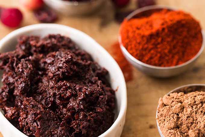 Cranberry Cocoa Mole Recipe | Foodal.com