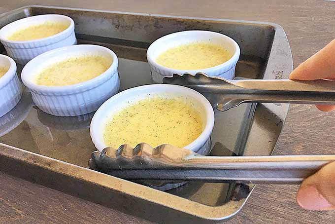 Removing creme brulee fresh from the oven with tongs. | Foodal.com