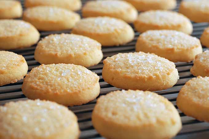 Coarse sanding sugar garnishes freshly baked cookies. | Foodal.com