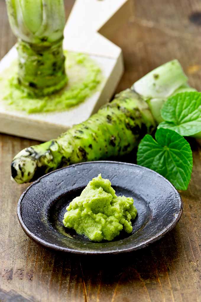 Love covering your sushi in wasabi? Learn the truth about this curiously spicy plant on Foodal now, and how it may not be what it seems: https://foodal.com/knowledge/herbs-spices/horseradish-wasabi/