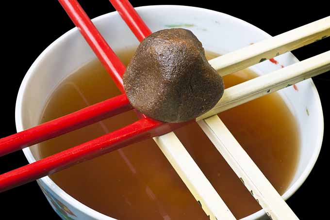 Enjoy a gut-healthy bowl of miso soup. | Foodal.com
