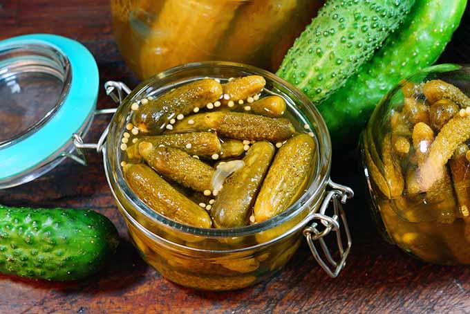 Pickles are an excellent example of fermented foods. | Foodal.com