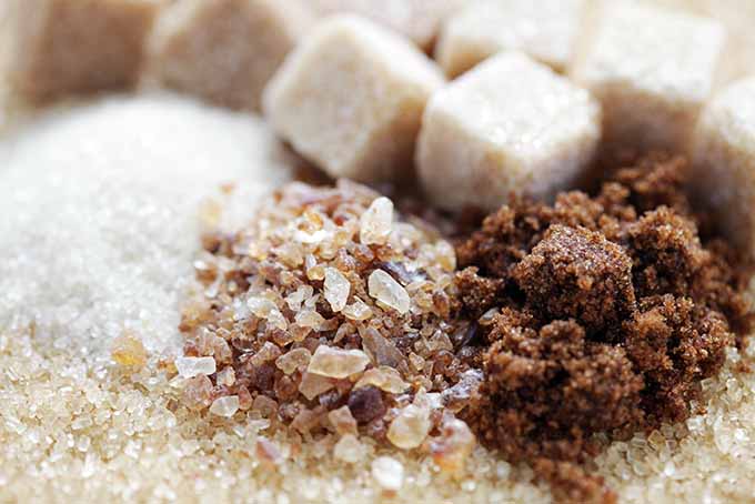 Understanding the different types of brown sugar. | Foodal.com