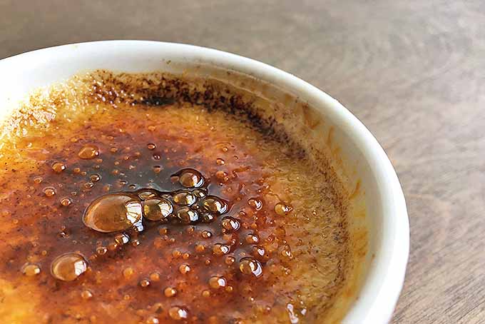 Freshly made creme brulee with a perfectly caramelized sugar. | Foodal.com