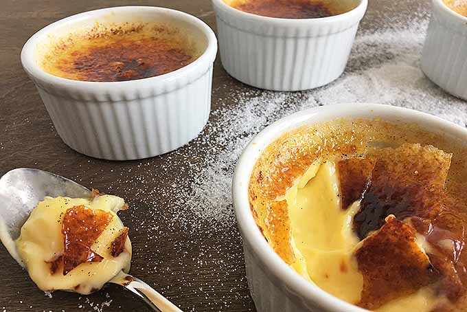 Diving into creamy creme brulee. | Foodal.com