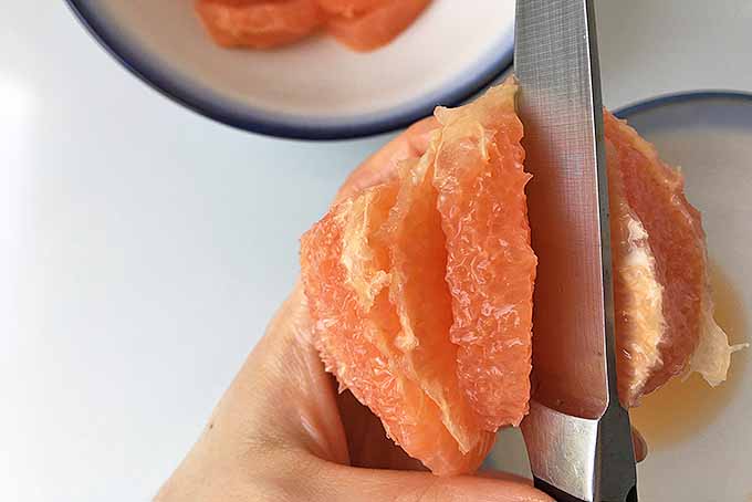 Learning how to supreme grapefruit. | Foodal.com