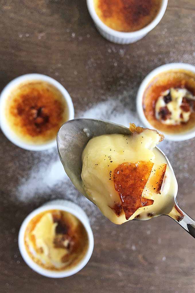 Learn to tackle a classic French dessert, the creme brulee! Get our recipe now: https://foodal.com/recipes/desserts/how-to-make-a-simple-creme-brulee/
