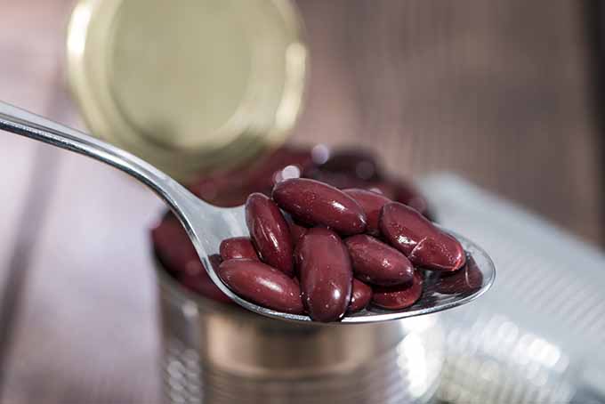 A Heaping Spoonful of Canned Kidney Beans | Foodal.com