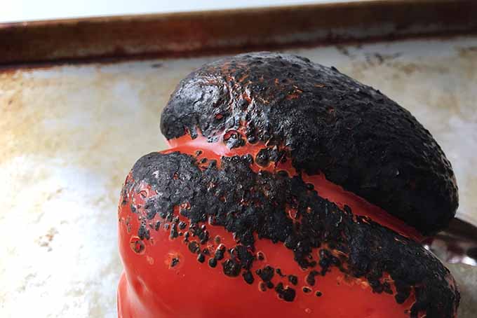 A Torched Red Pepper | Foodal.com