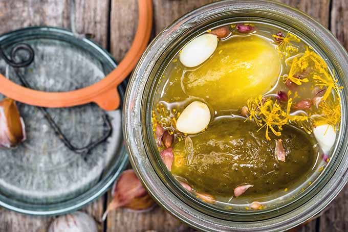 Fermented Pickles in a Jar | Foodal.com