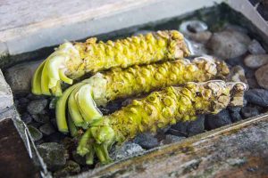 Spicy Wasabi: A Rare Rhizome with Huge Flavor