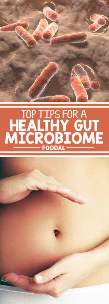 We know that our tummies are responsible for essential processes like digestion, but did you know they also communicate with our brains to regulate emotions? Find out everything you need to know about what habits to eliminate, and which foods will keep your gut microbiome healthy and happy.
