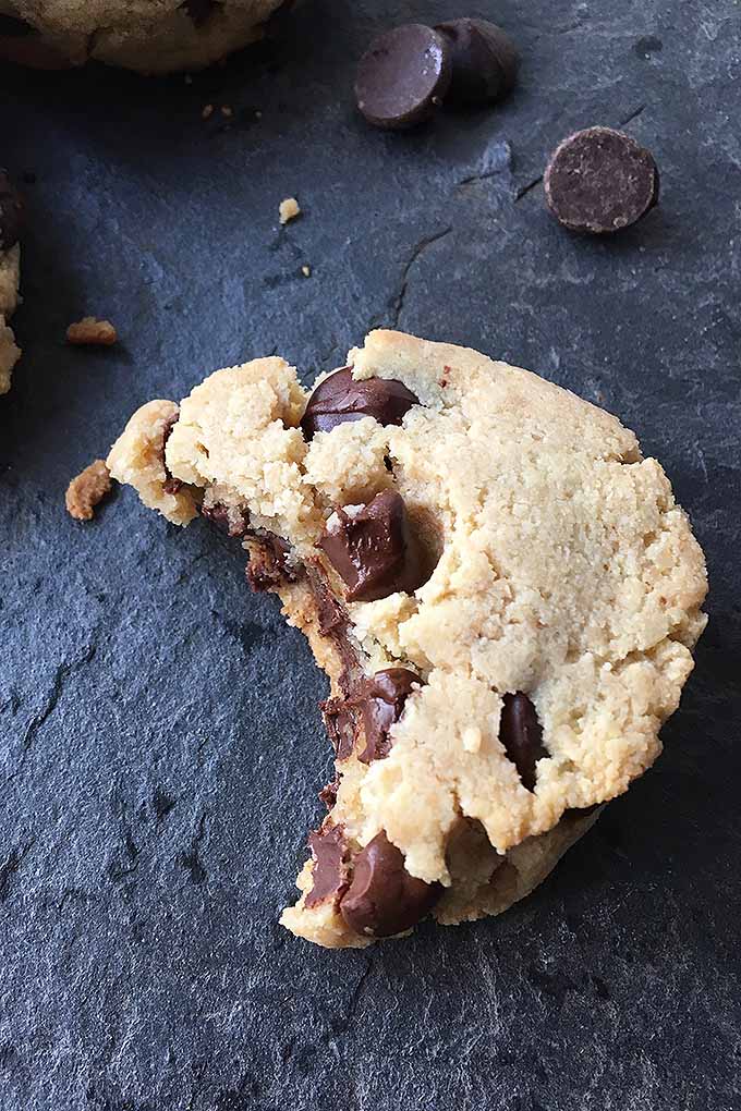 Take a bite out of these gluten-free, dairy-free, and egg-free paleo chocolate chip cookies! We share the recipe: https://foodal.com/recipes/desserts/grain-free-chocolate-chip-cookies/