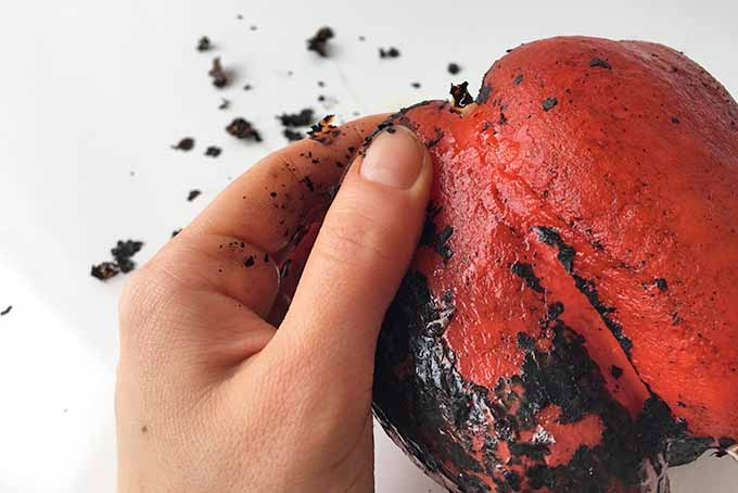 Peeling Charred Skin from Red Pepper | Foodal.com