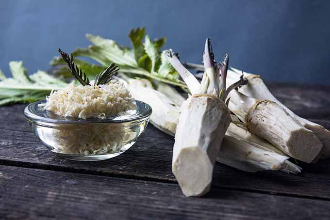 Raw and Grated Horseradish | Foodal.com
