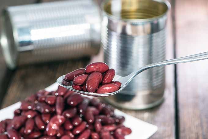 Spoon with Canned Kidney Beans | Foodal.com