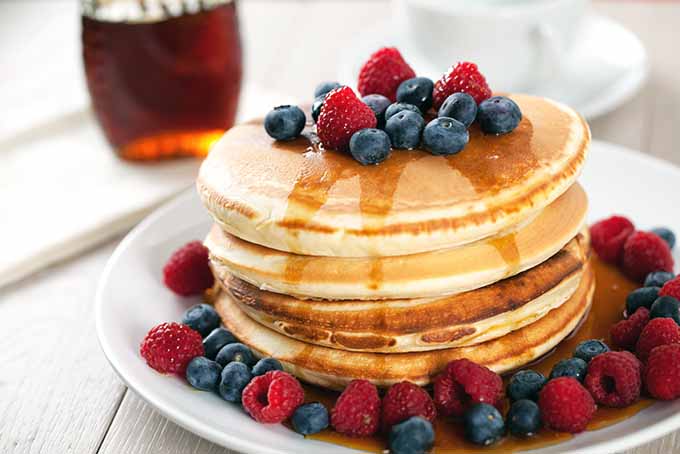 The Top 5 Pancake Griddles | Foodal.com