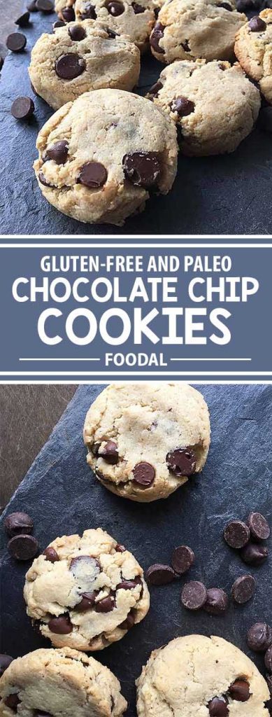 Need something gluten-free for a chocolate chip fix? Try our recipe for paleo chocolate chip cookies, made with no gluten, dairy, or eggs. With simple ingredients like almond flour, coconut oil, and maple syrup, you can still enjoy one of your favorite handheld desserts, all the while maintaining a clean and healthy diet! Get the recipe now on Foodal.