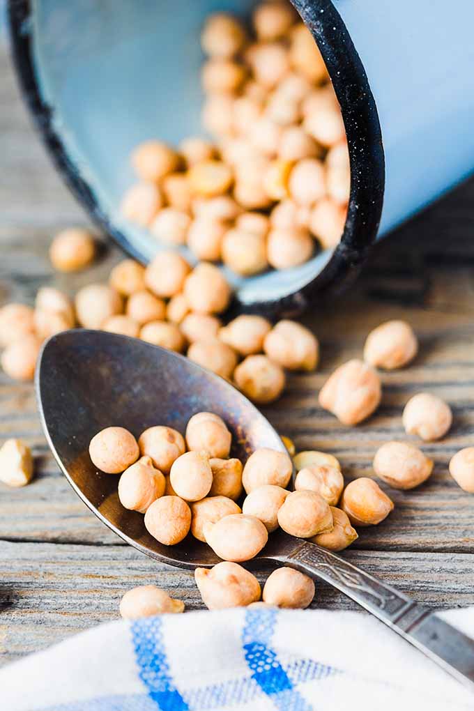 Take a closer look at the cute chickpea. We explain this bean’s history, stellar dietary value, and some cool cooking tips. Read more now on Foodal: https://foodal.com/knowledge/paleo/get-to-know-garbanzo-beans/