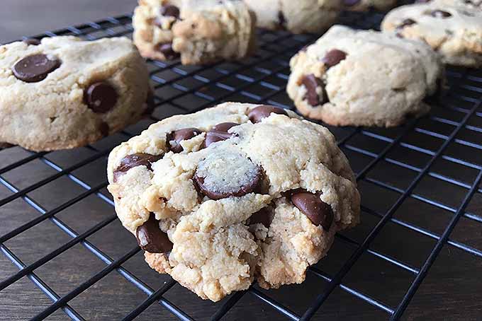 The Best Grain Free and Paleo Cookie | Foodal.com